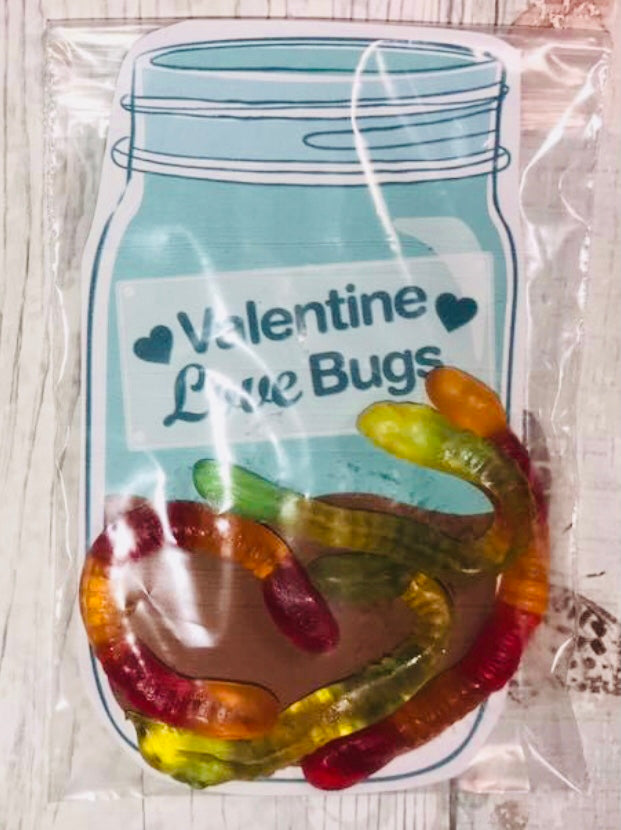 ❤️ Valentines love bugs ❤️